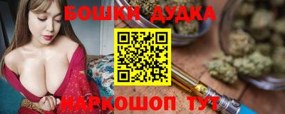 МДПВ Пенза