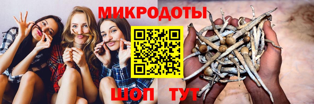 Галлюциногенные грибы прущие грибы Находка