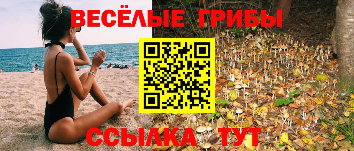 Находка  Псилоцибиновые грибы прущие грибы  Вход с VPN 